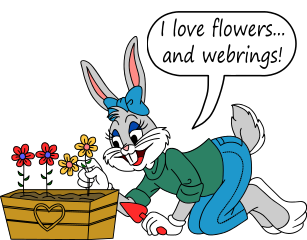 Honey Bunny, Bugs Bunny, Looney Tunes, Merrie Melodies, Zwariowane Melodie